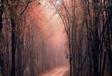 1xBit体育登录-广州恒大再创新辉煌，击败天津泰达巩固领先地位